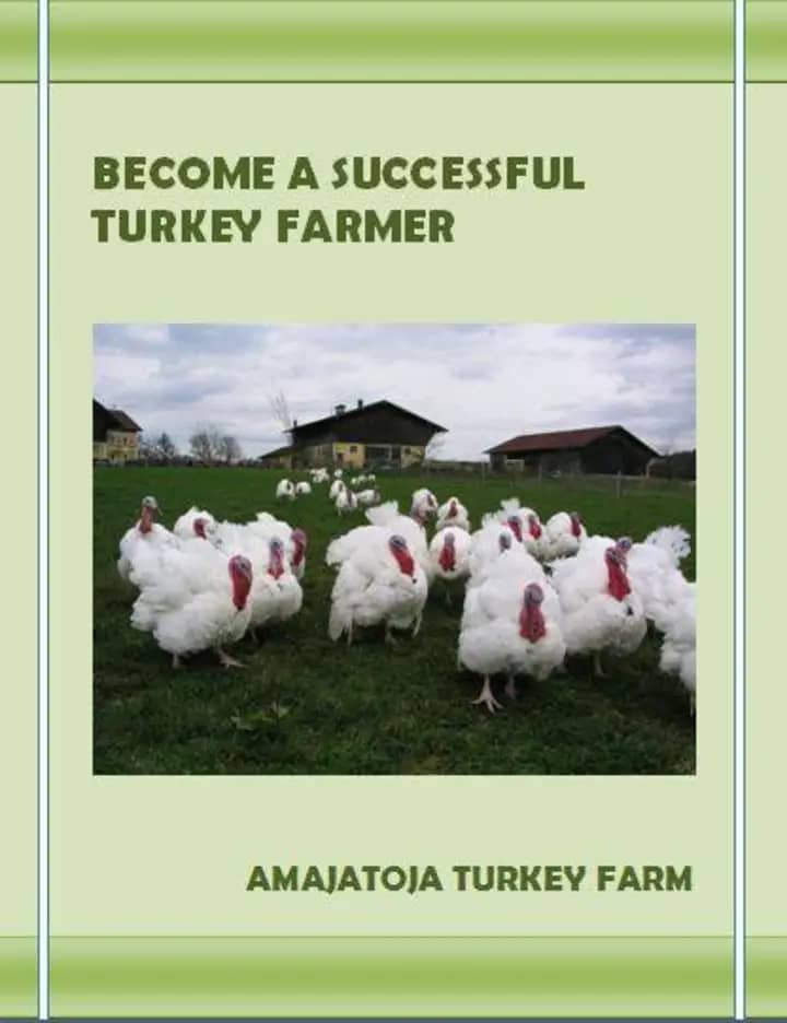 Become a Successful Turkey Farmer