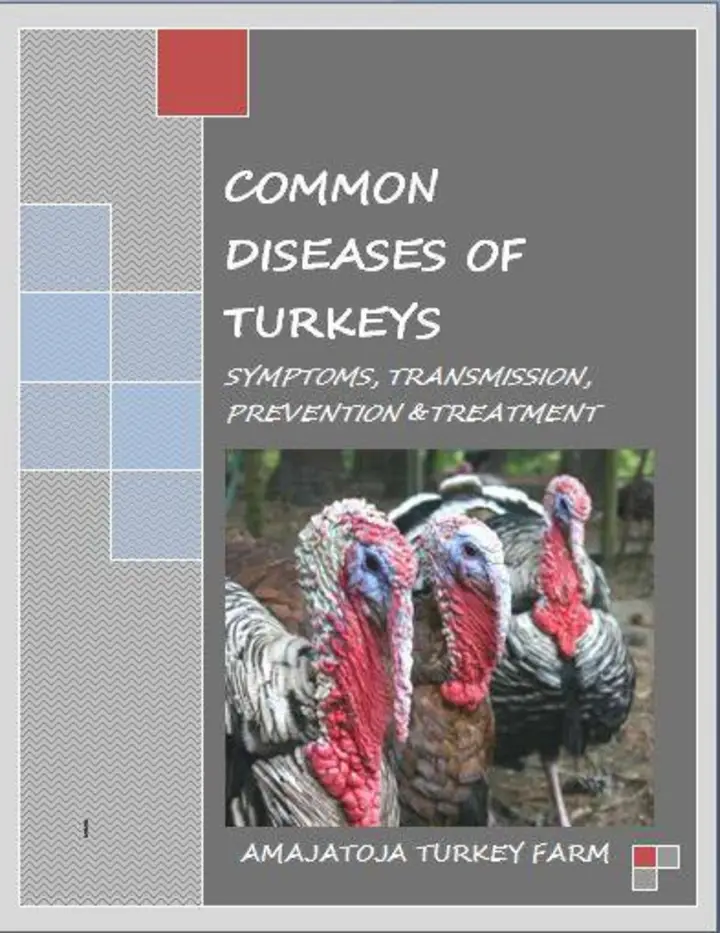 Common Diseases Of Turkeys